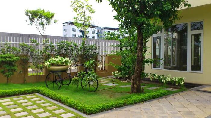 Những loại cây phù hợp cho thiết kế sân vườn Việt Nam 4
