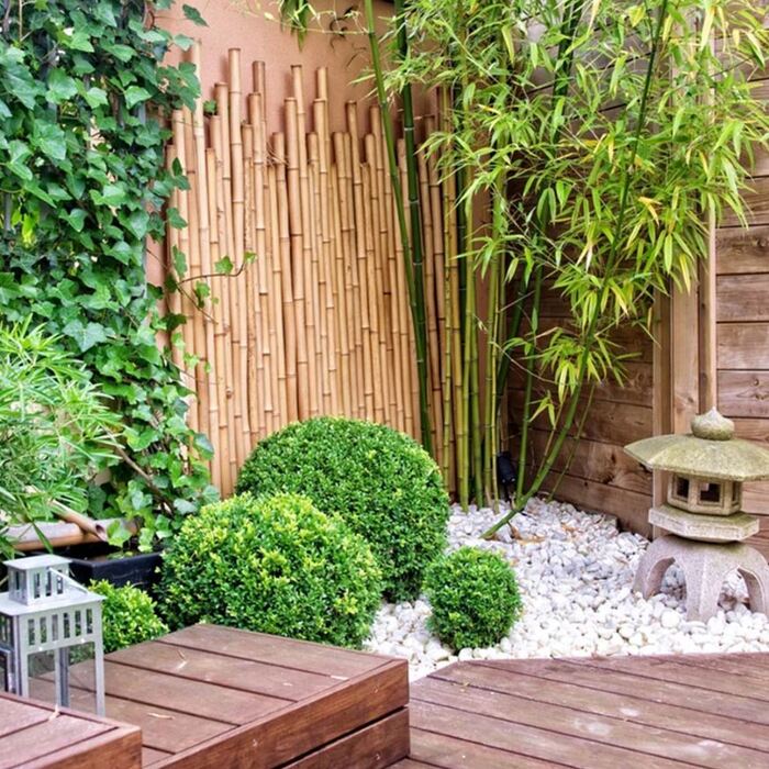 Xu hướng thiết kế sân vườn tối giản 2