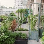 thiết kế tiểu cảnh ban công chi phí thấp 0