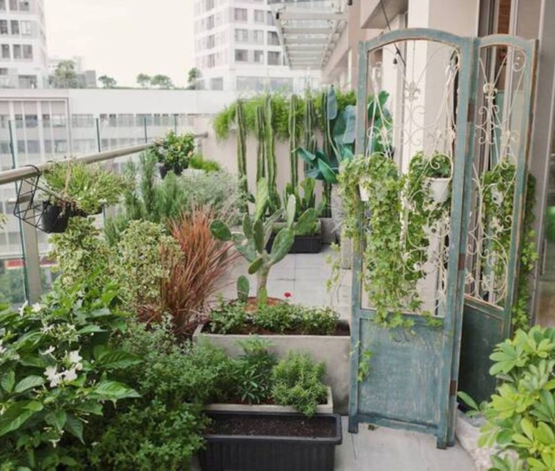thiết kế tiểu cảnh ban công chi phí thấp 0