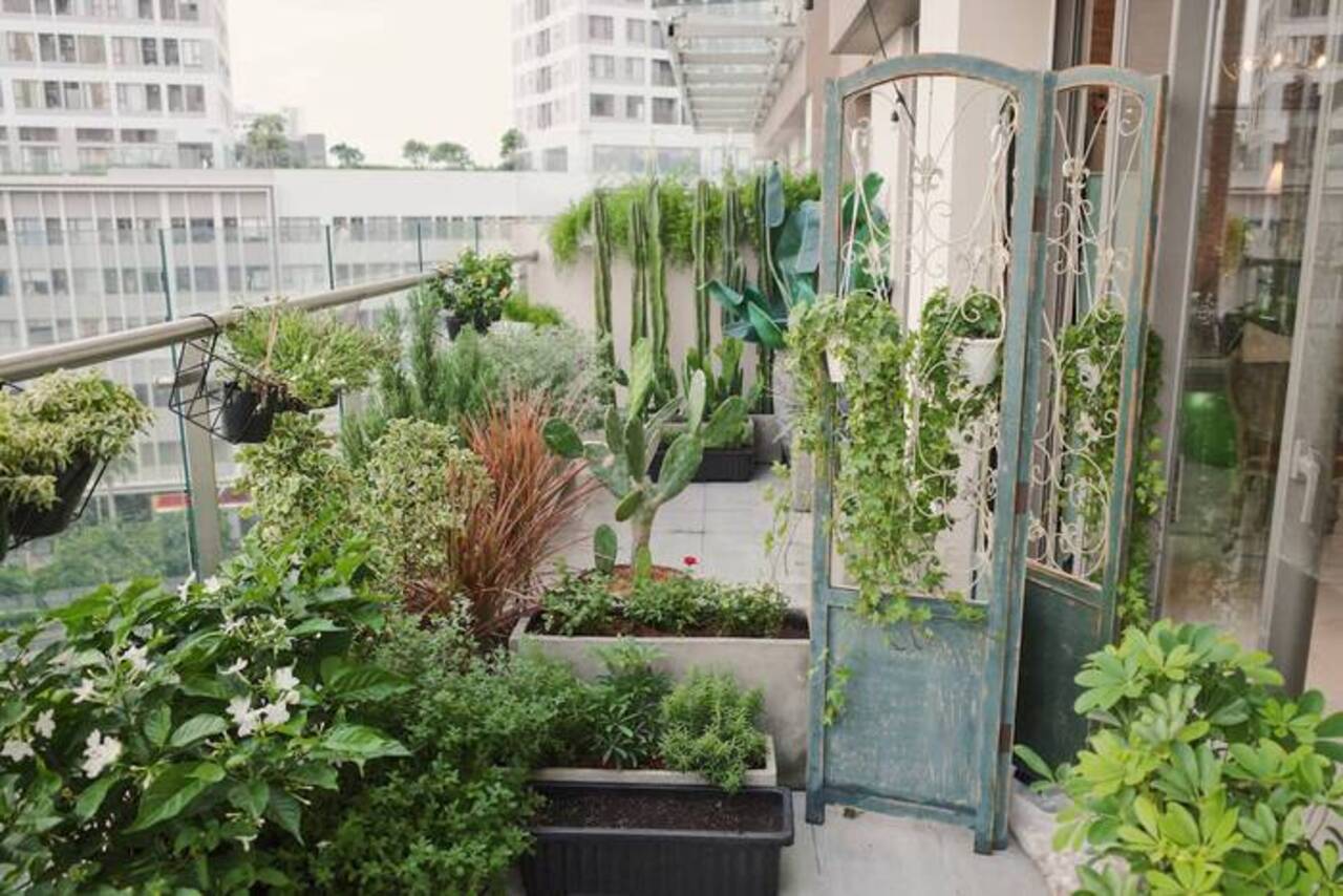 thiết kế tiểu cảnh ban công chi phí thấp 0