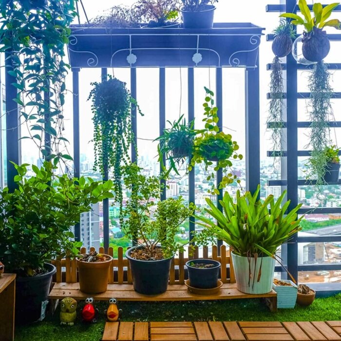 thiết kế tiểu cảnh ban công chi phí thấp 4